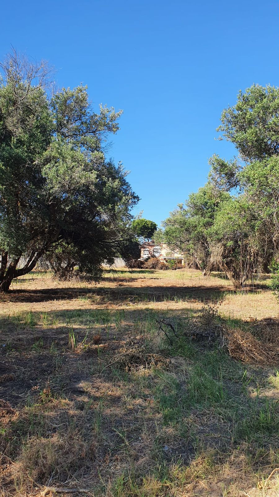 Plot for Sale in San Pedro de Alcántara — 4