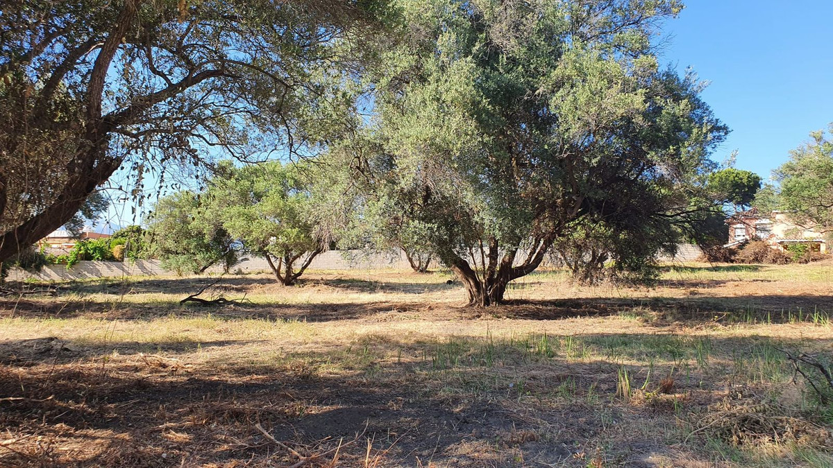 Plot for Sale in San Pedro de Alcántara — 5