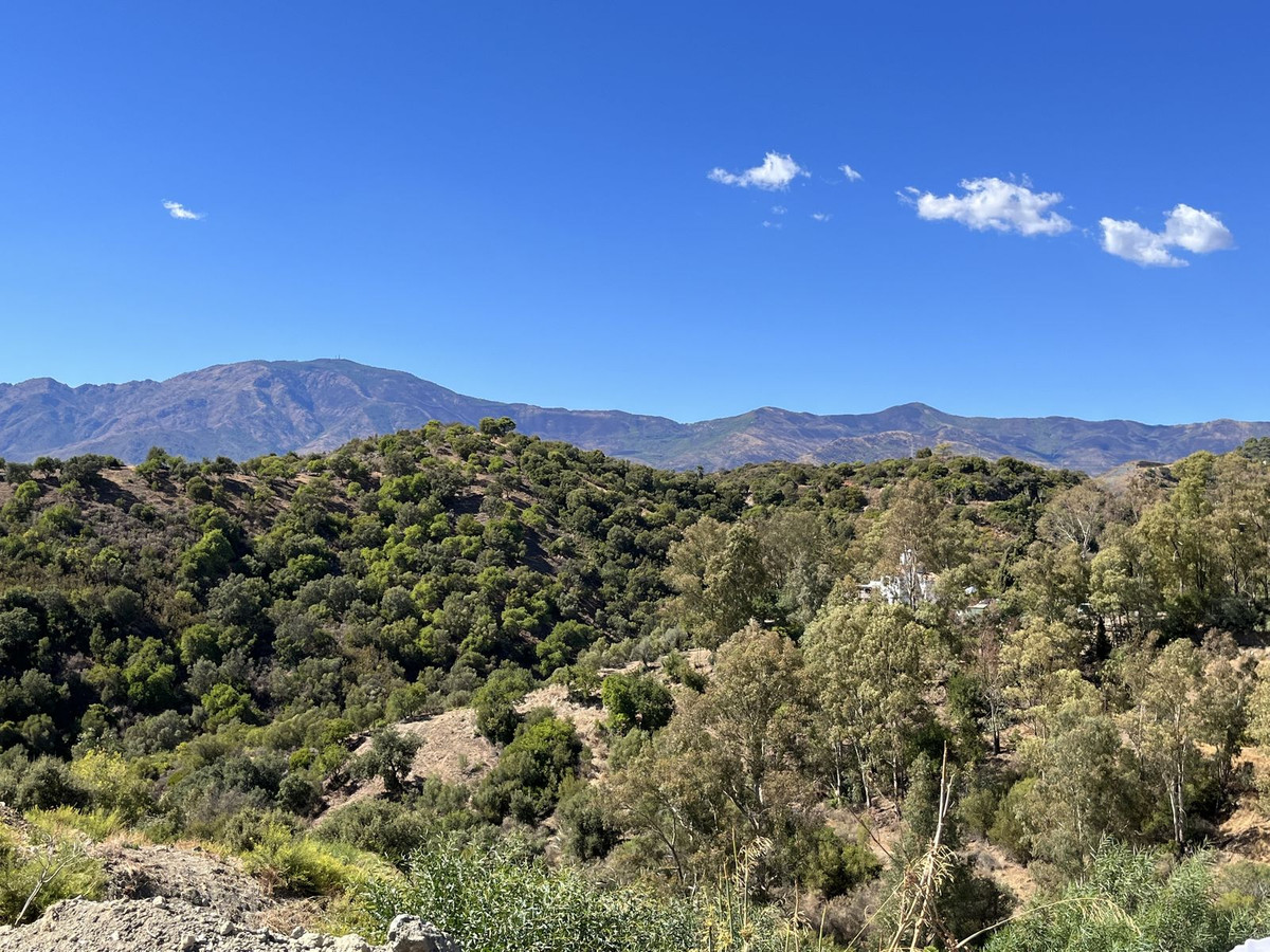 Plot for Sale in Selwo