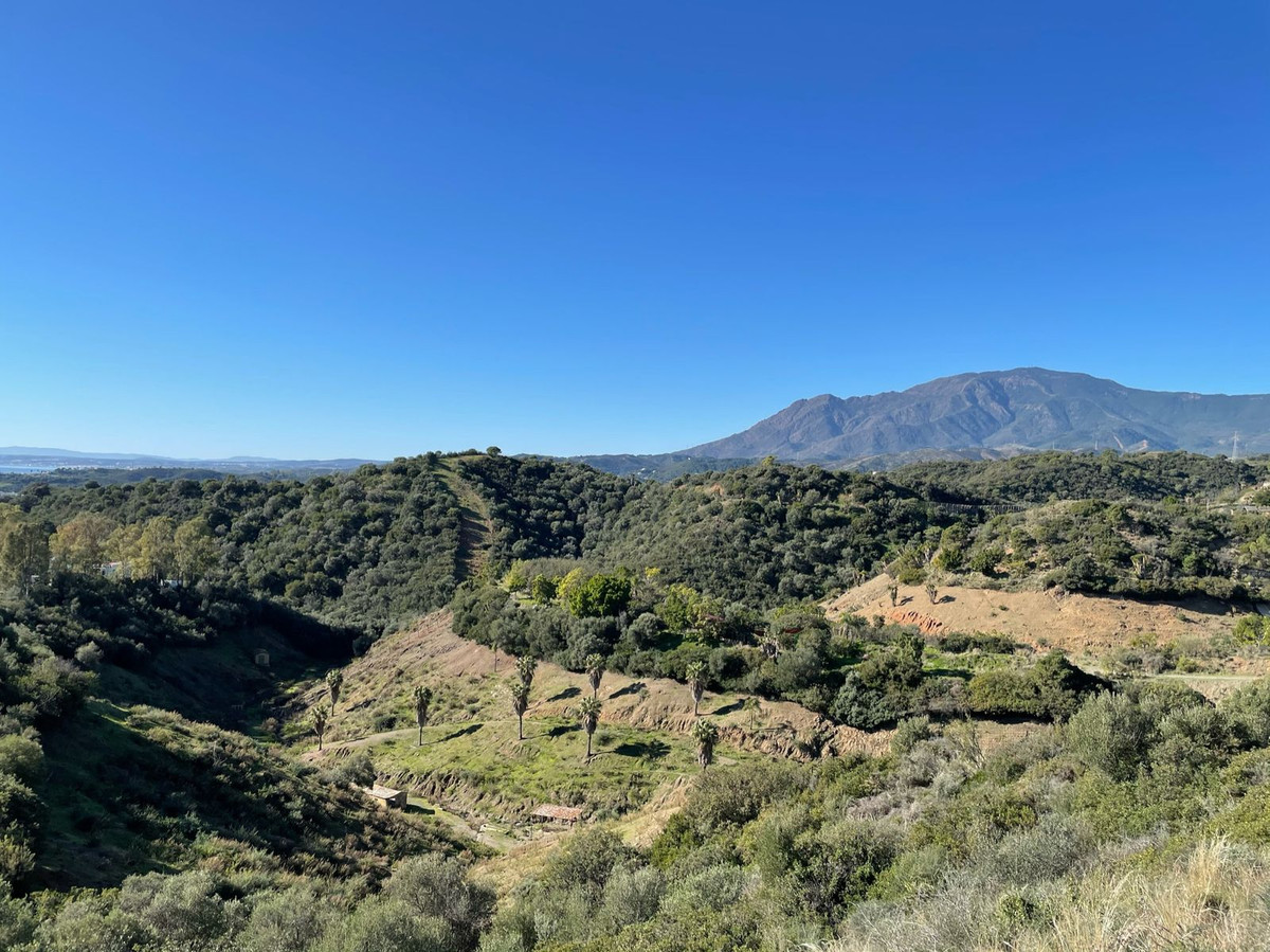 Plot for Sale in New Golden Mile — 6