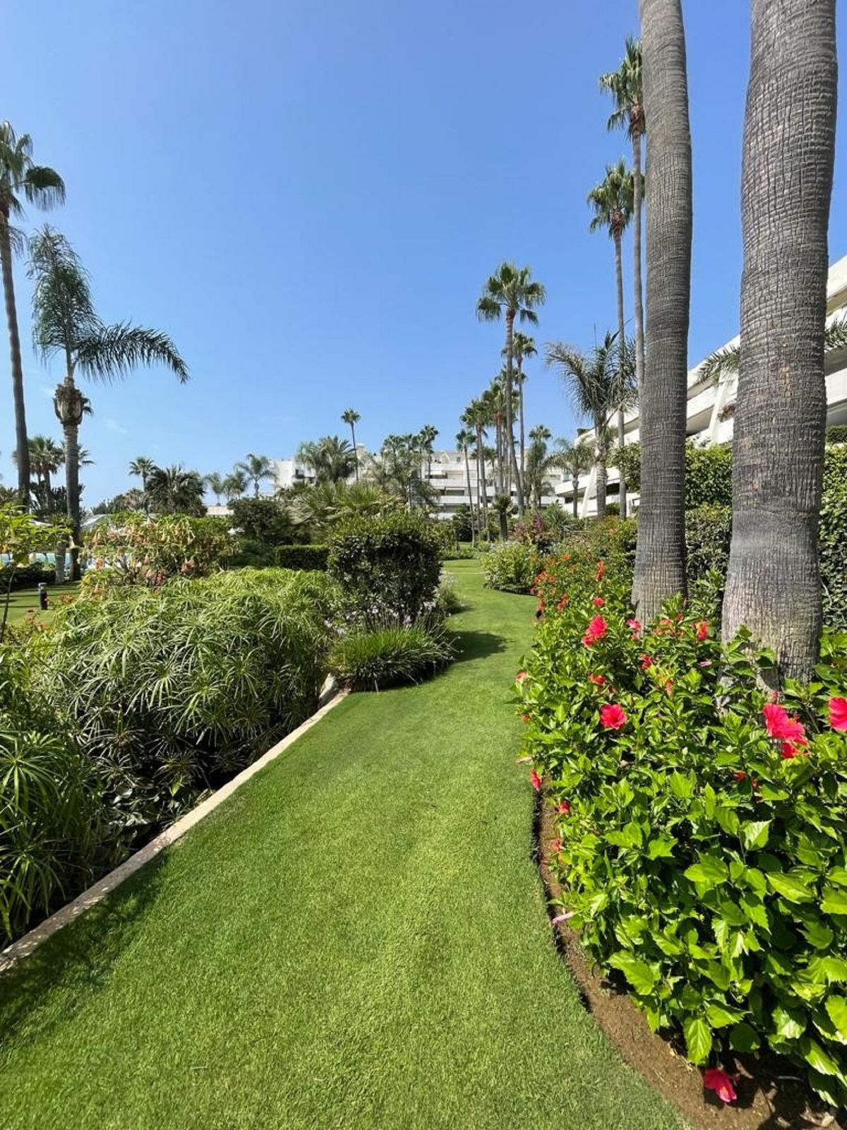 3 Bedroom Apartment for Sale in Puerto Banús — 5