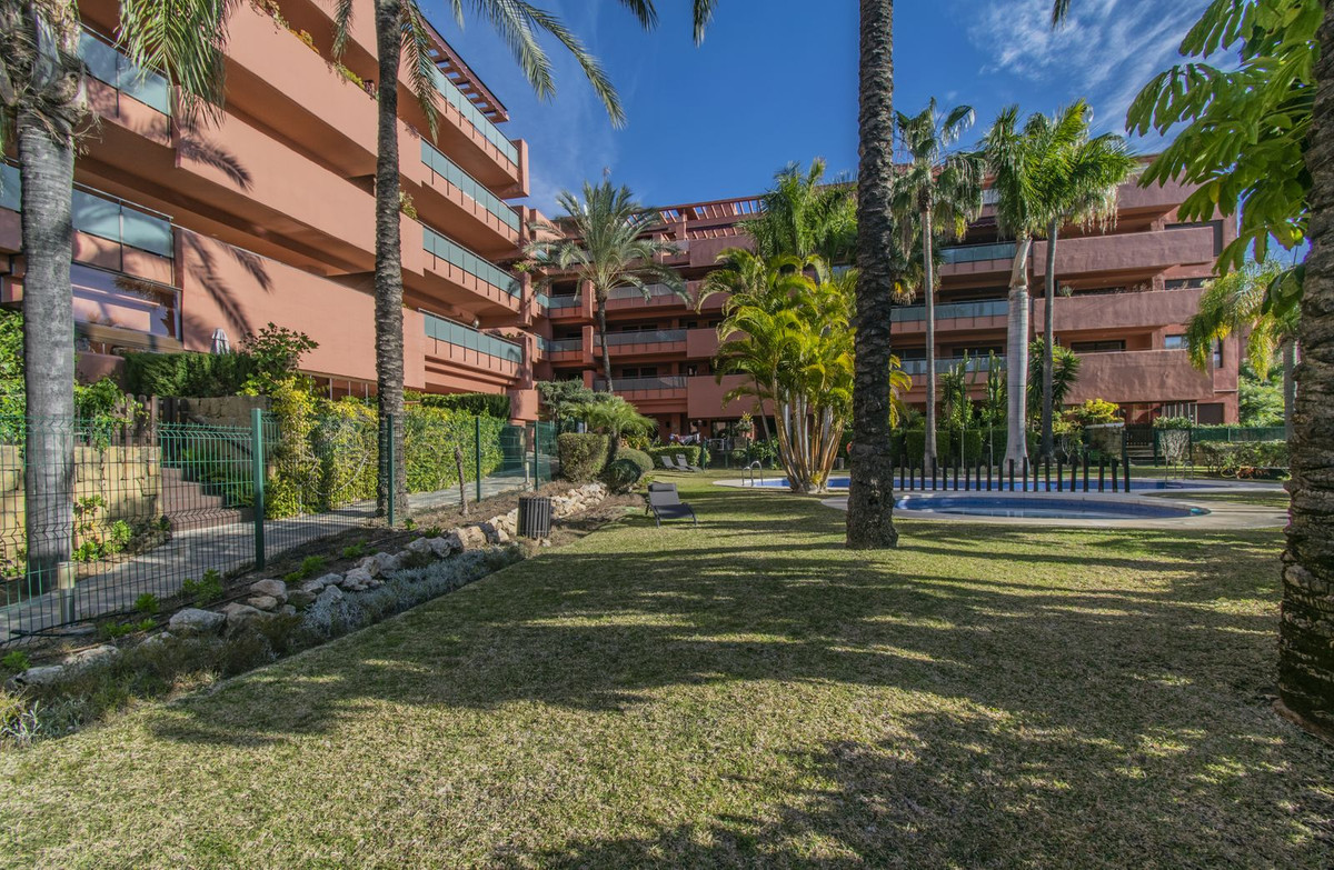 3 Bedroom Apartment for Sale in New Golden Mile — view 8