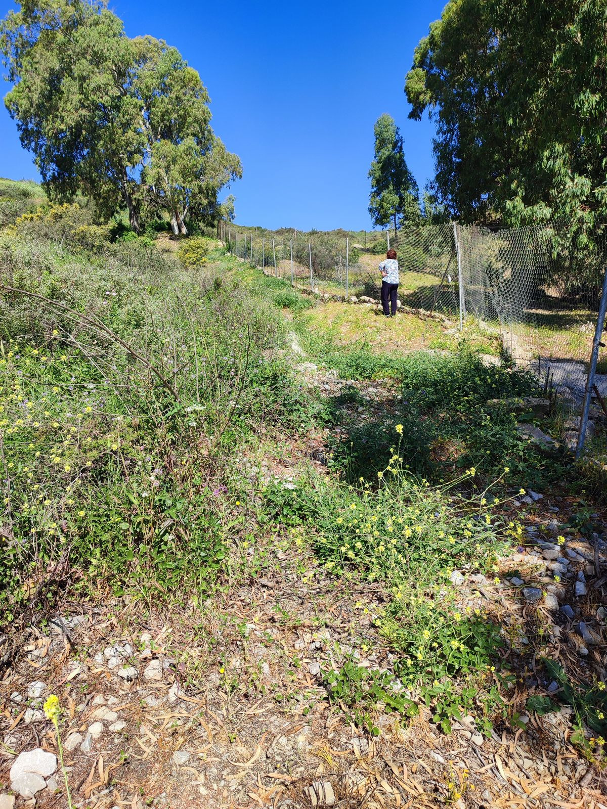 Plot for Sale in Estepona — 7