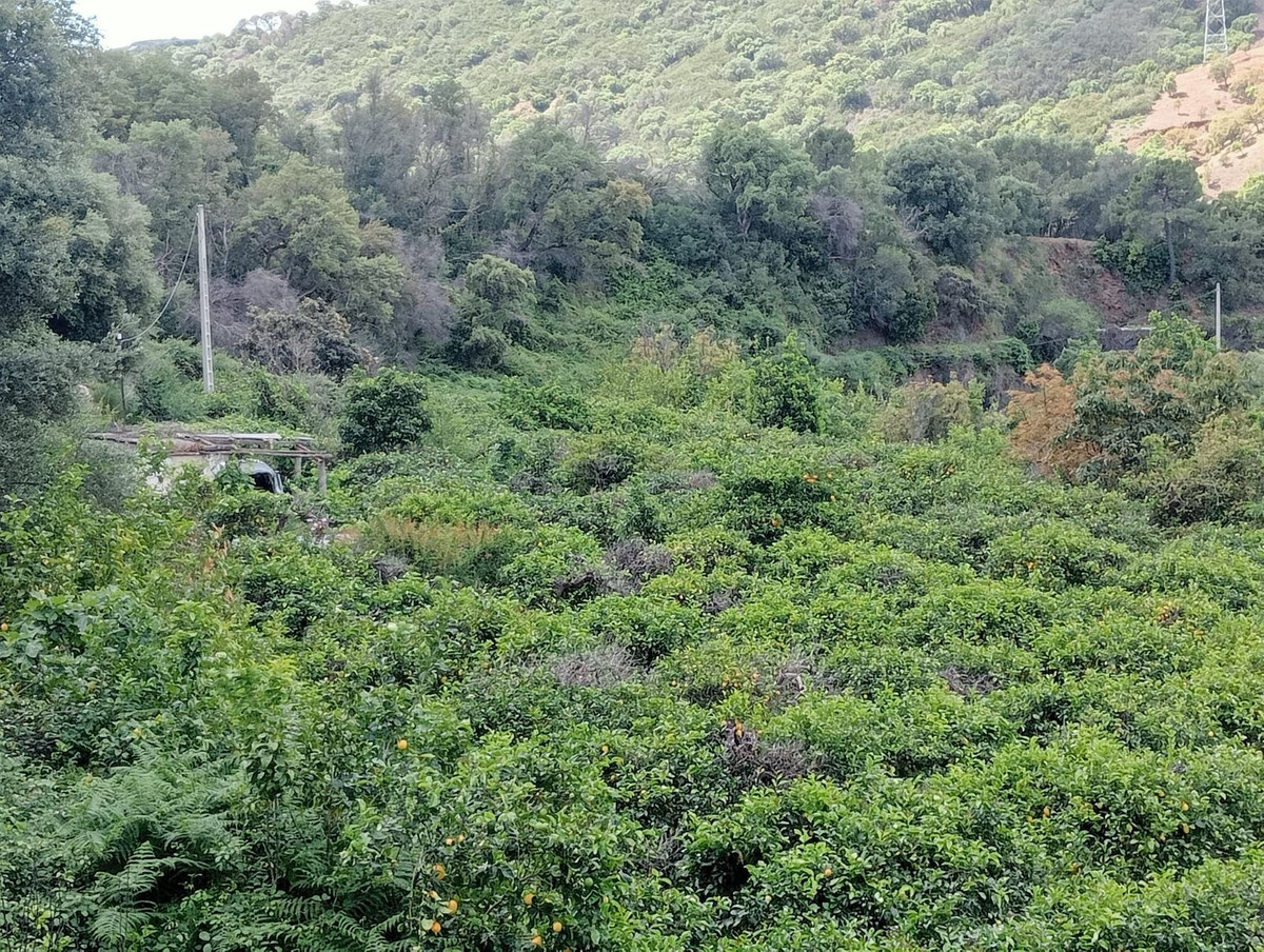 Plot for Sale in Estepona — 2