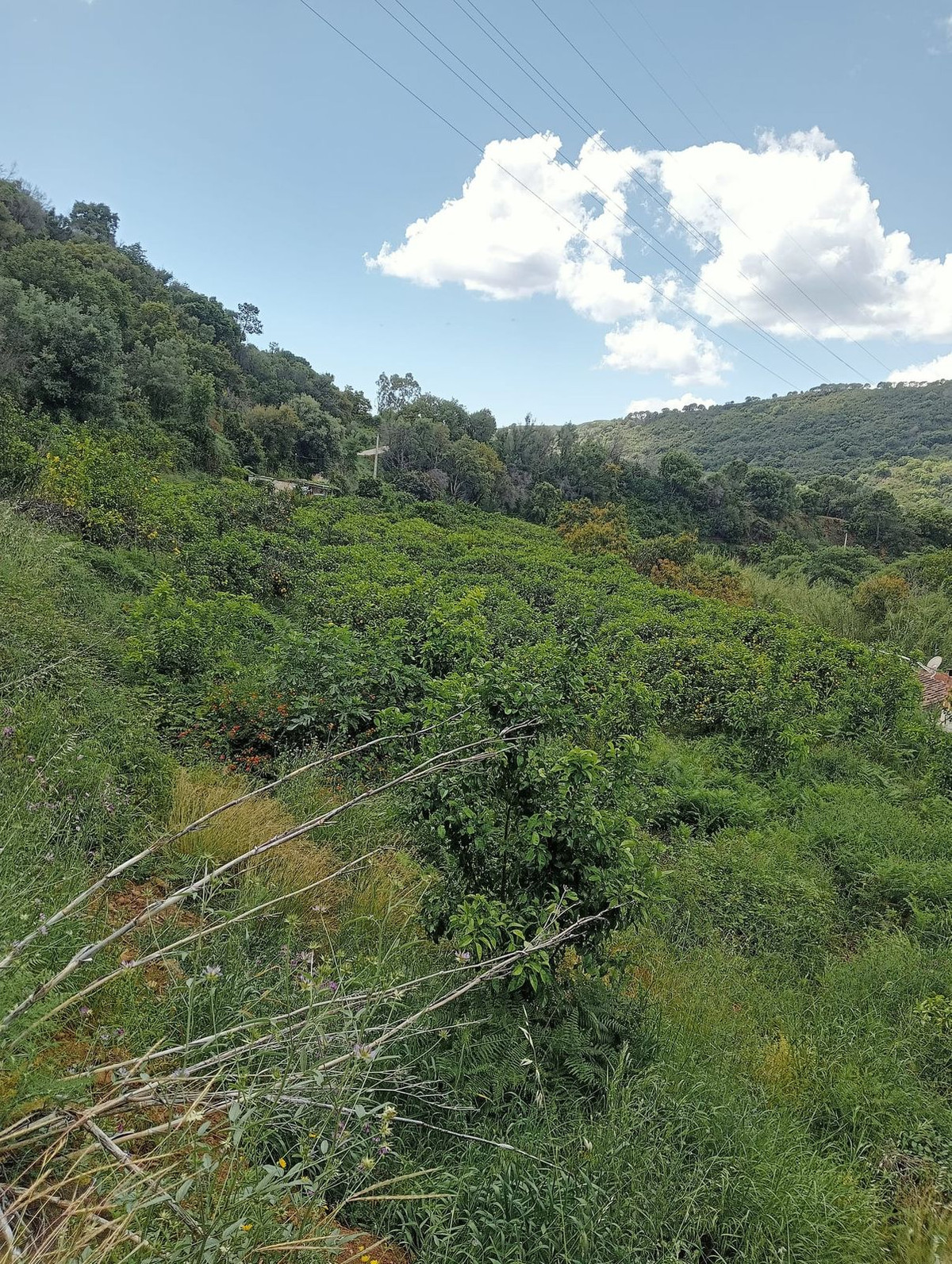 Plot for Sale in Estepona — 3
