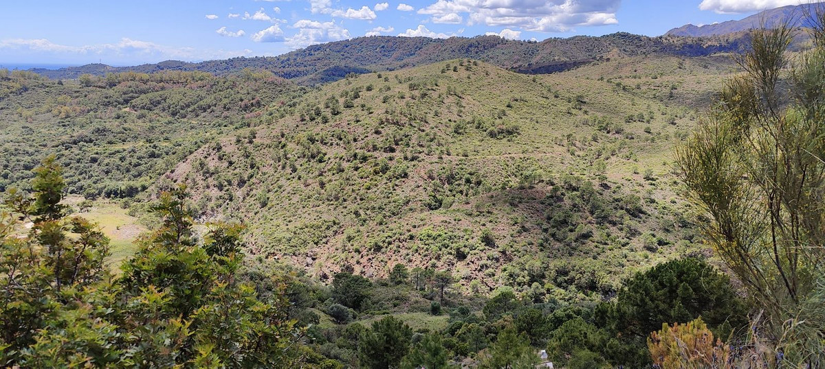 Plot for Sale in Benahavís — view 10