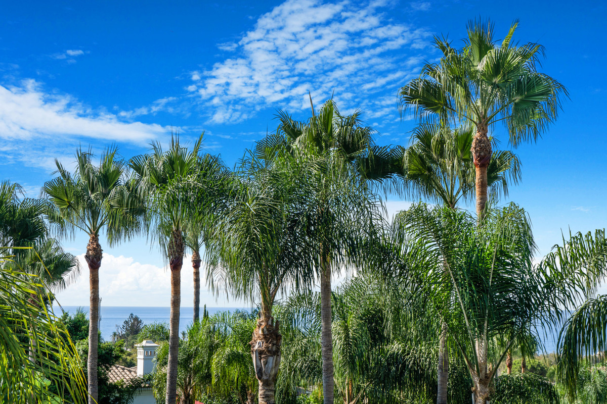 4 Bedroom Villa for Sale in The Golden Mile — view 19