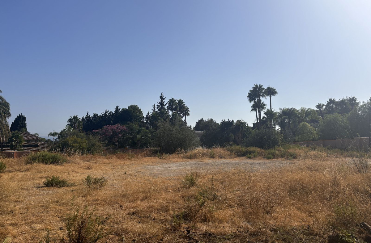 7 Bedroom Plot for Sale in The Golden Mile — 4