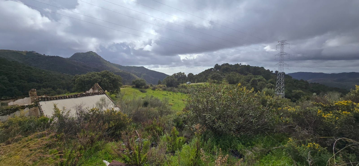 Plot for Sale in Benahavís