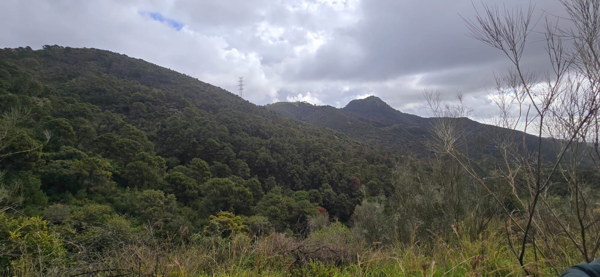 Plot for Sale in Benahavís — 5