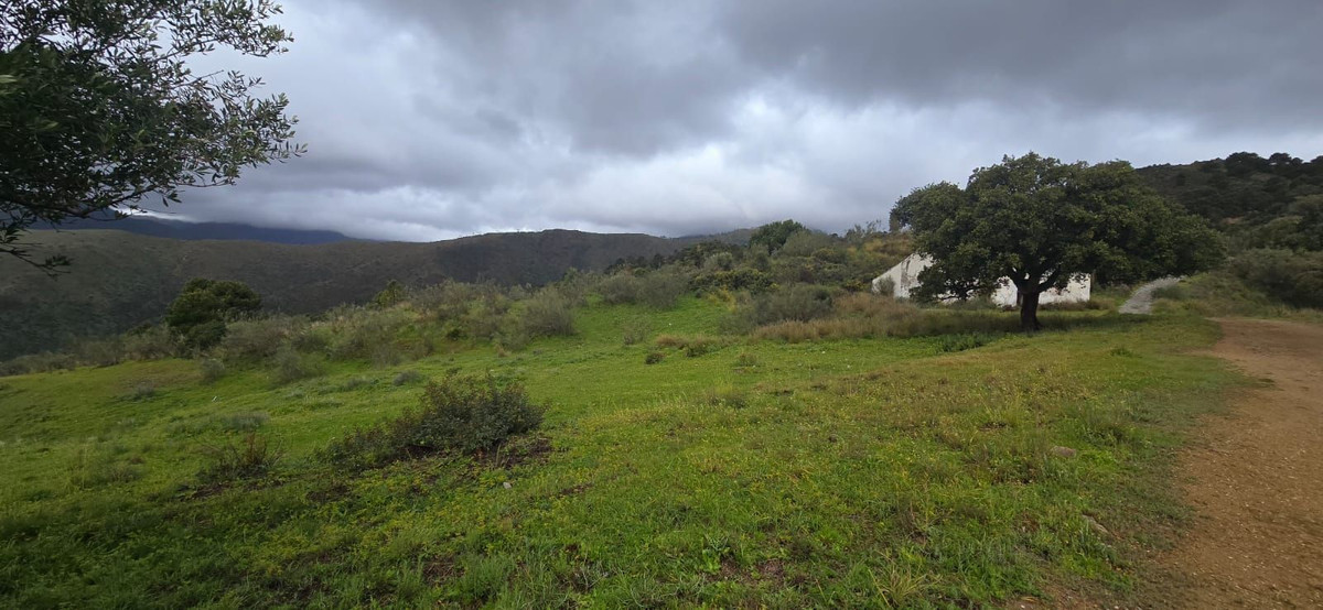 Plot for Sale in Benahavís — 6