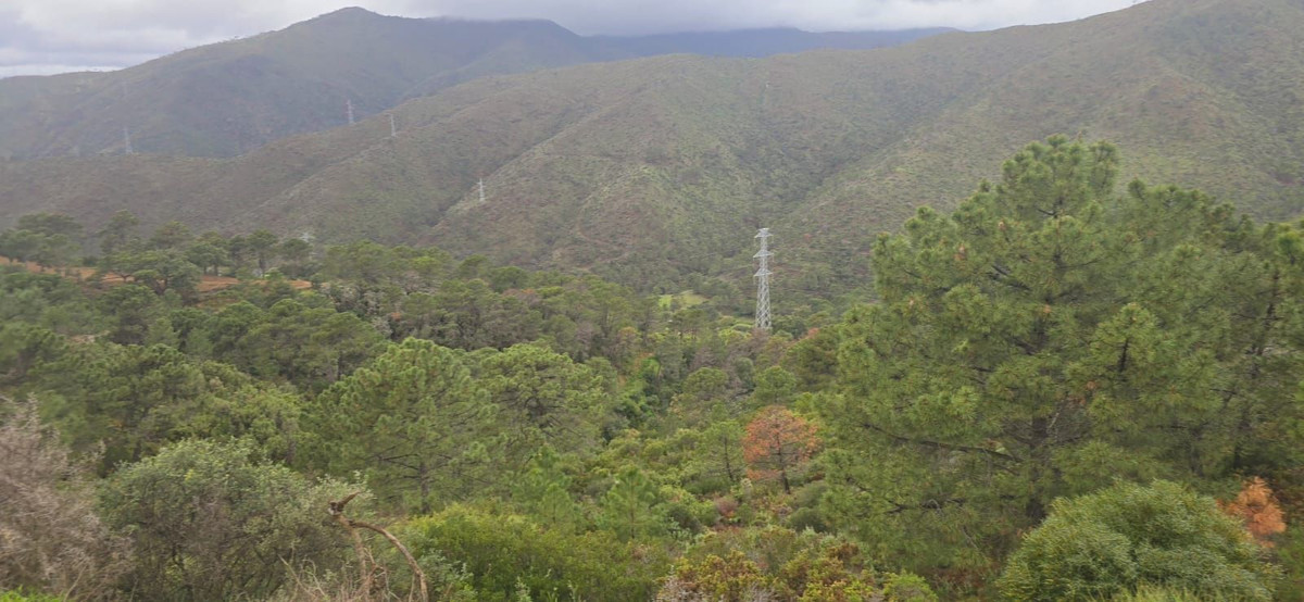 Plot for Sale in Benahavís — 7