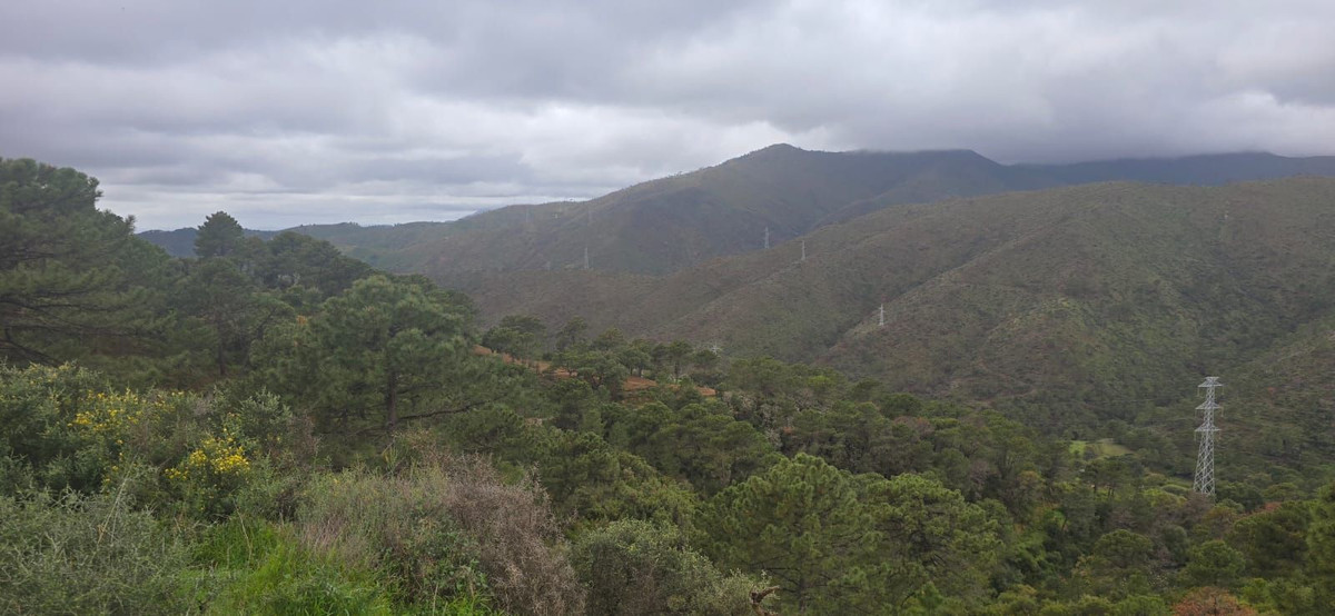 Plot for Sale in Benahavís — view 10