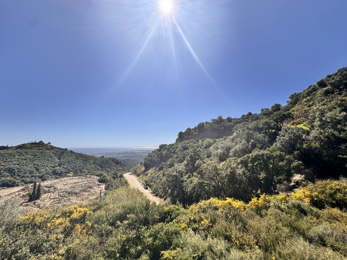Plot for Sale in Istán — 9