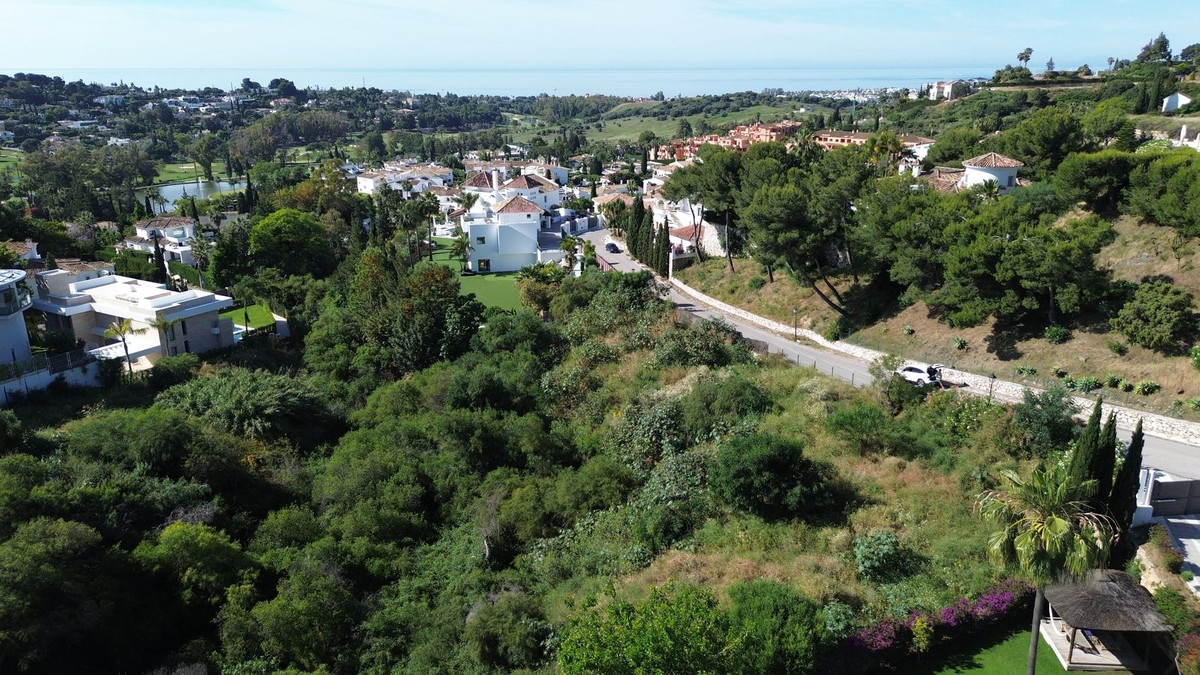 Plot for Sale in El Paraiso