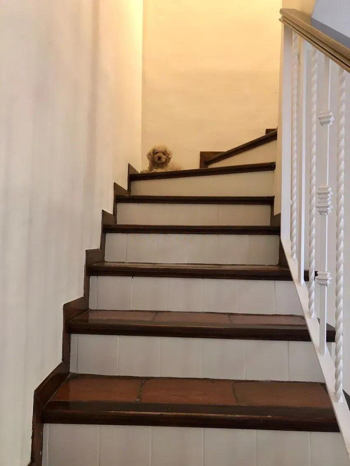 3 Bedroom Villa for Sale in Guadalmina Baja — view 10