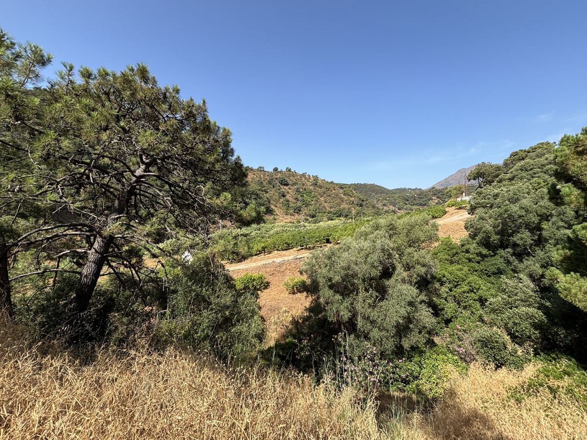 Plot for Sale in El Padron — view 2