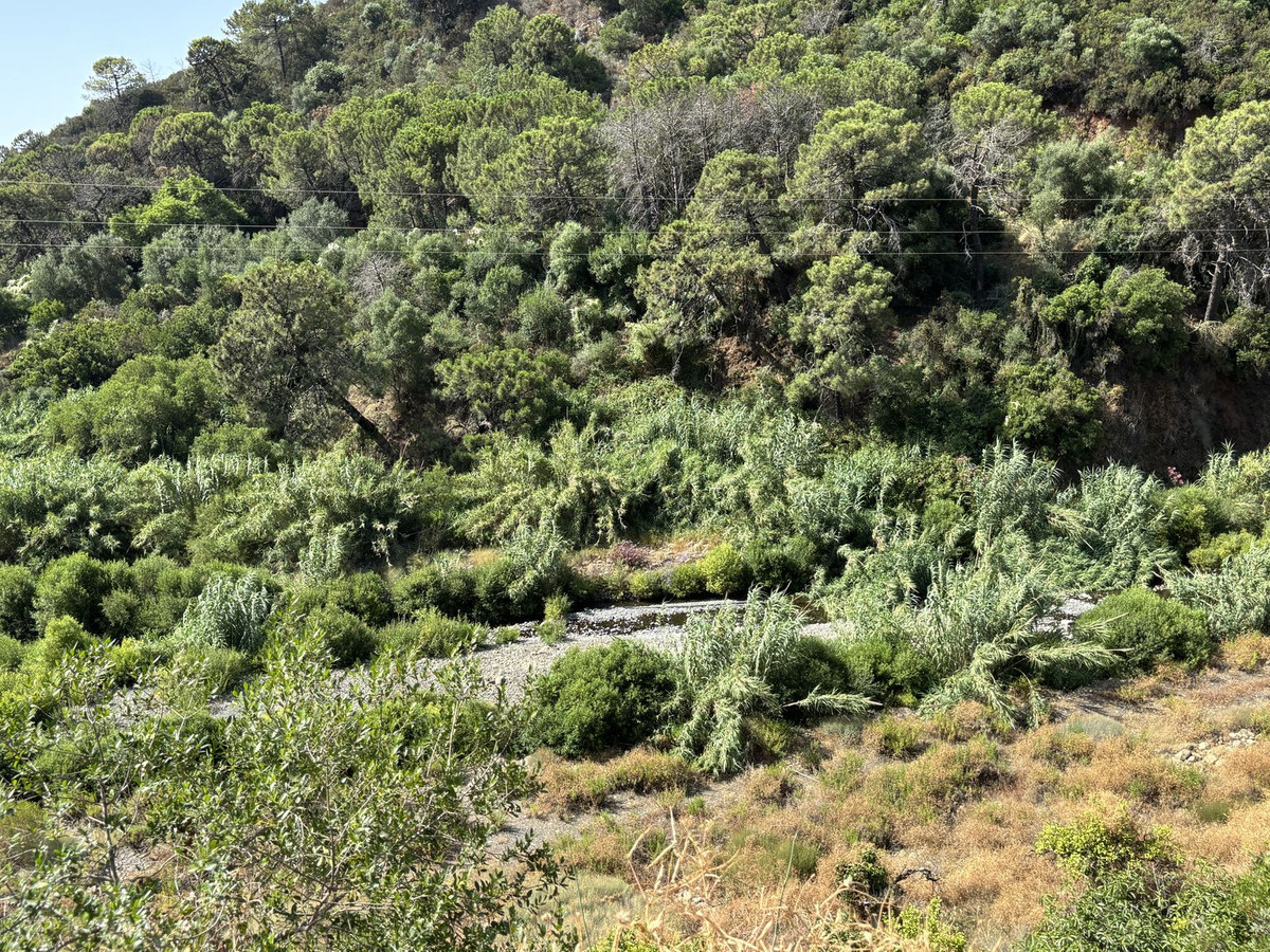 Plot for Sale in El Padron — view 11