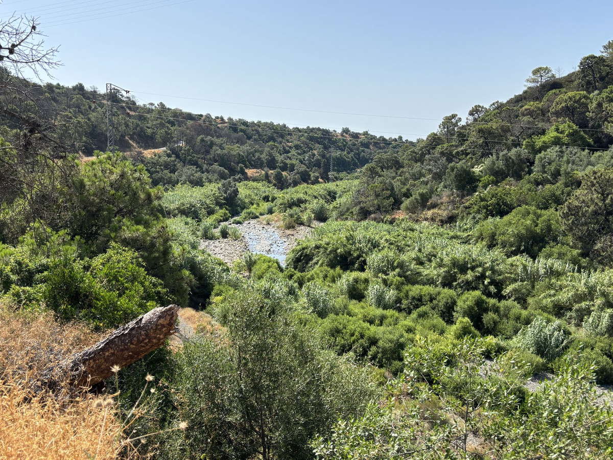 Plot for Sale in El Padron — view 12