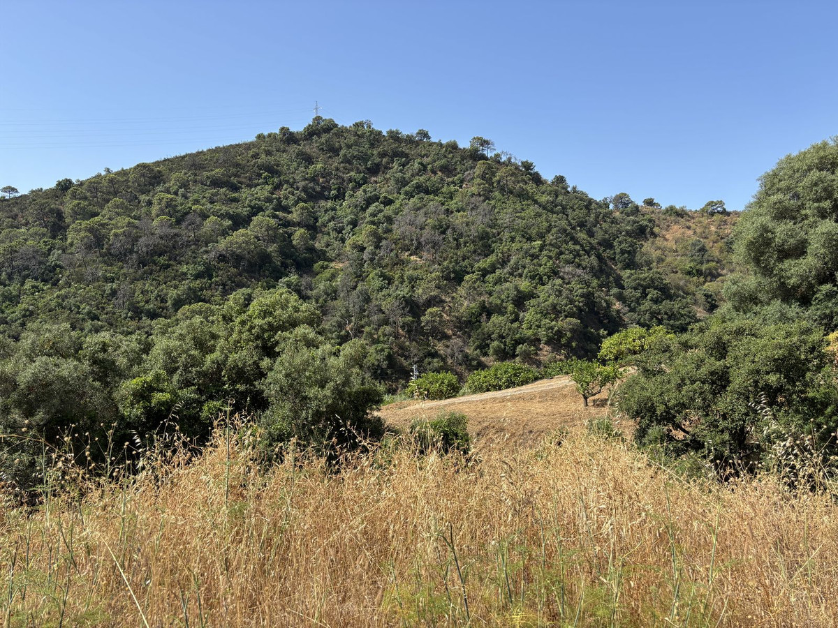 Plot for Sale in El Padron — view 13