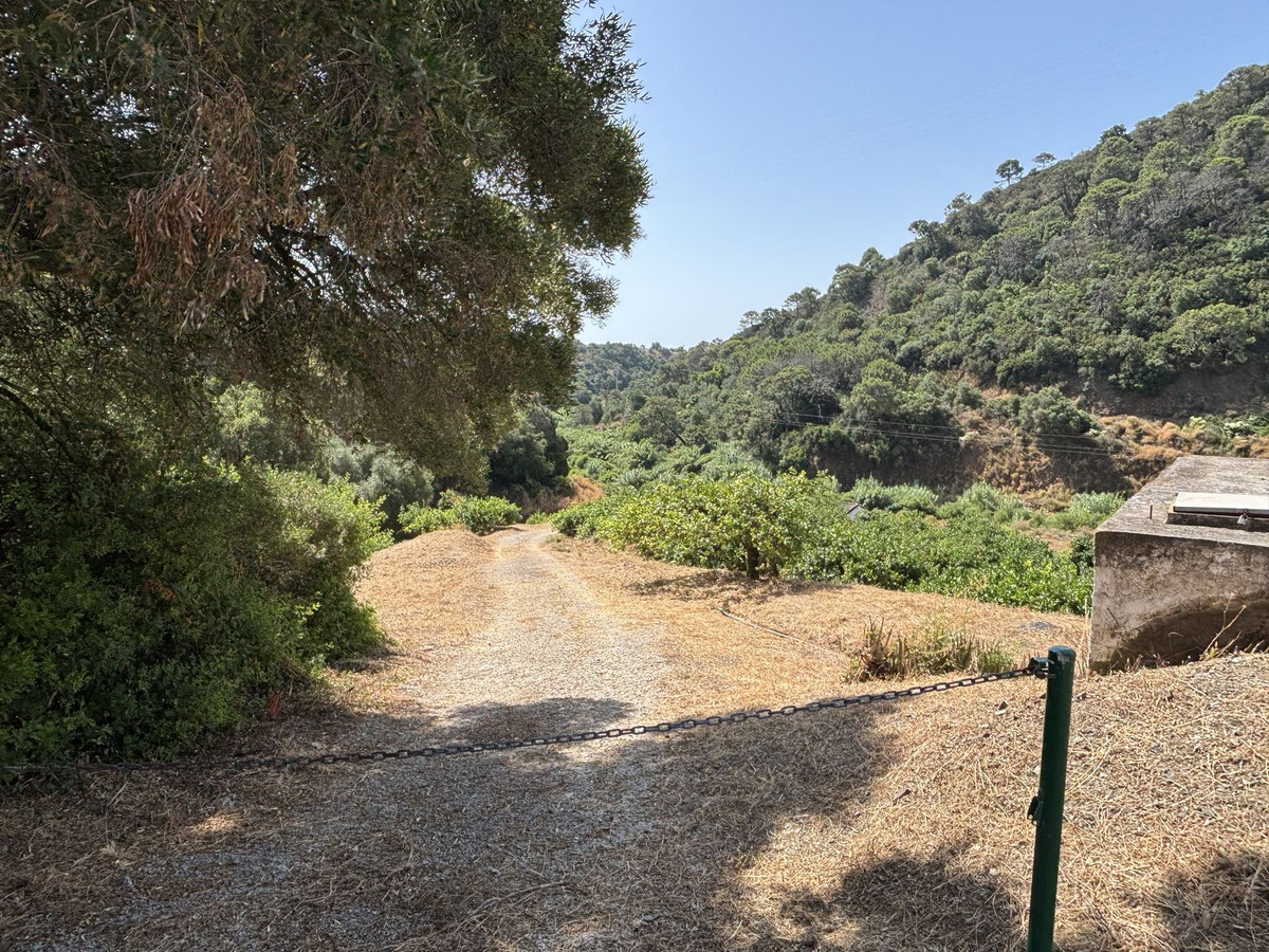 Plot for Sale in El Padron — view 14