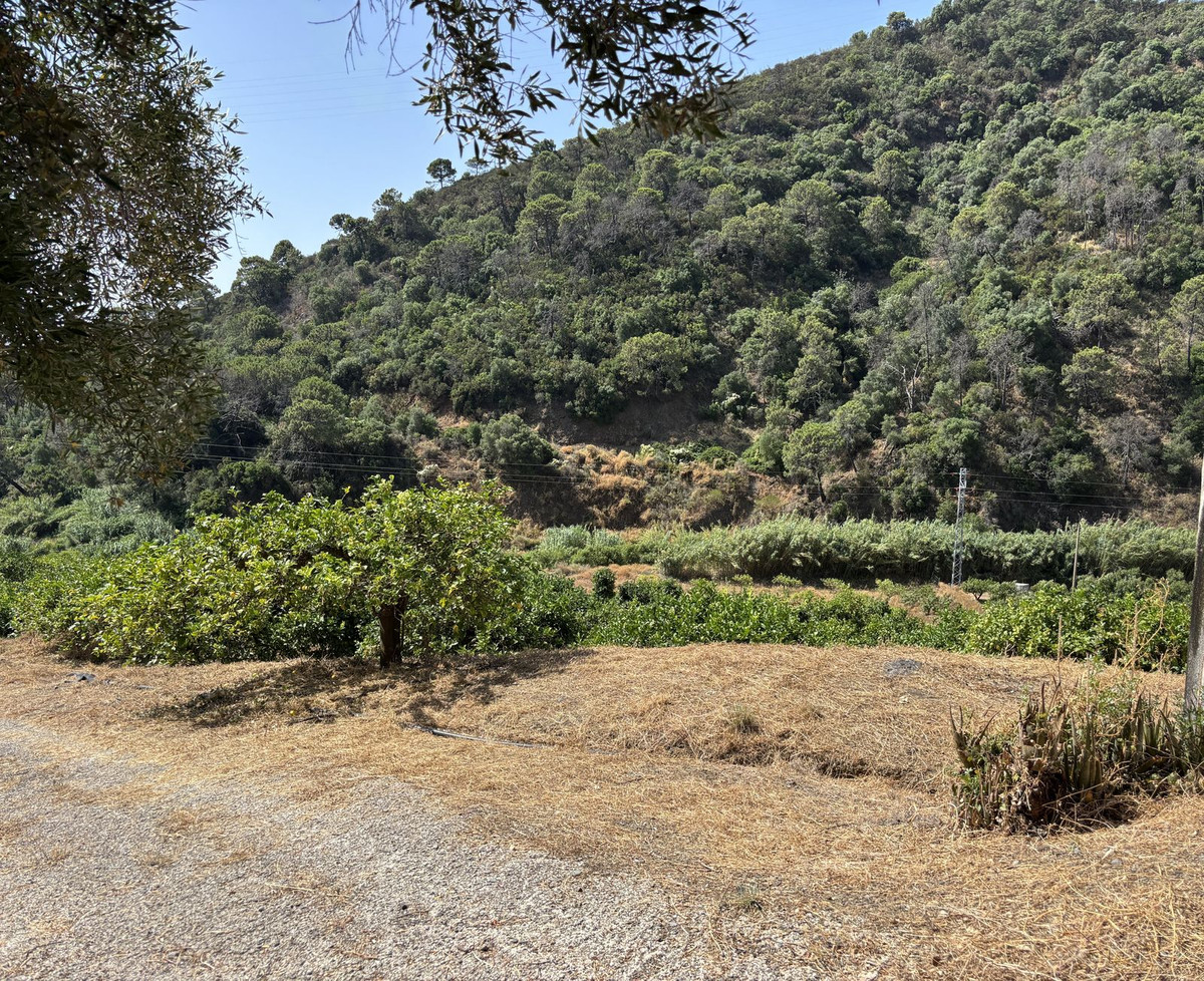 Plot for Sale in El Padron — view 15