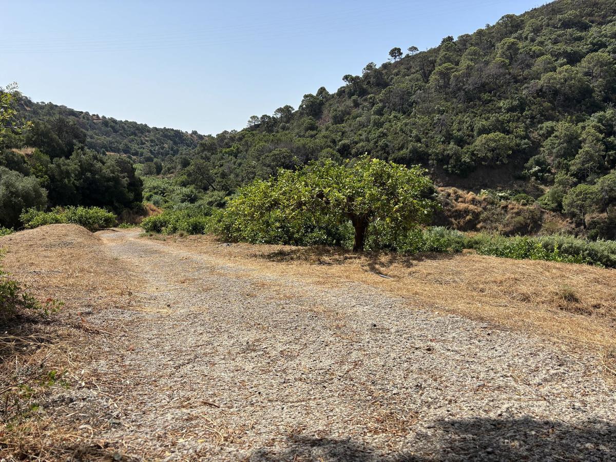 Plot for Sale in El Padron — view 16