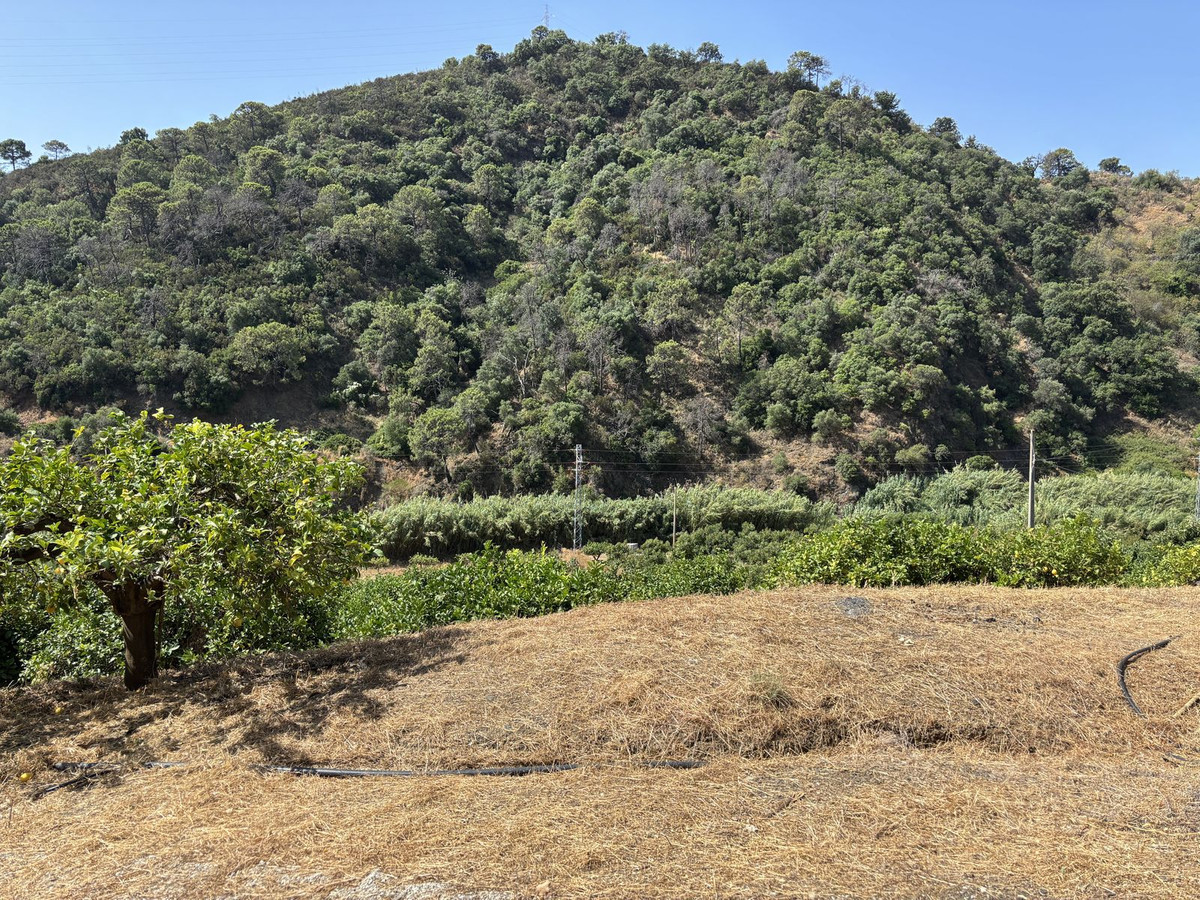 Plot for Sale in El Padron — view 17