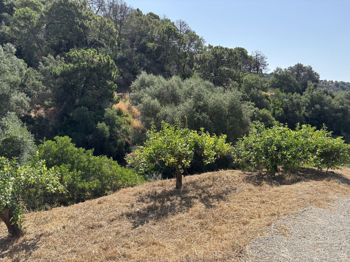 Plot for Sale in El Padron — view 18