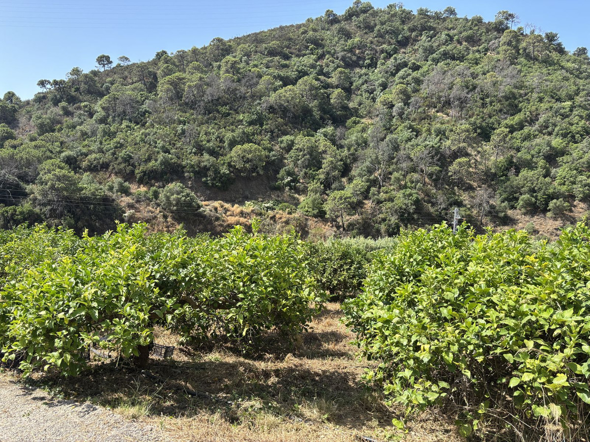 Plot for Sale in El Padron — view 19