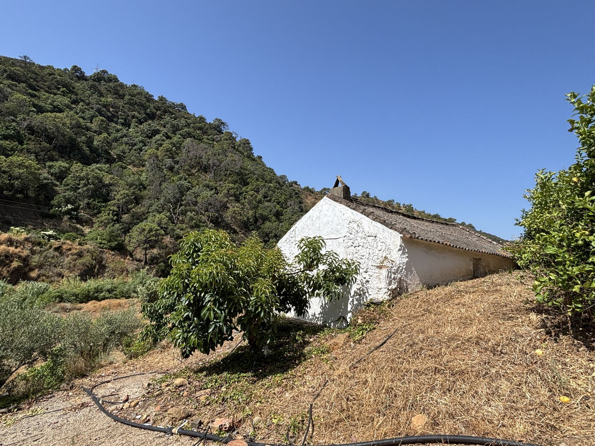 Plot for Sale in El Padron — view 20