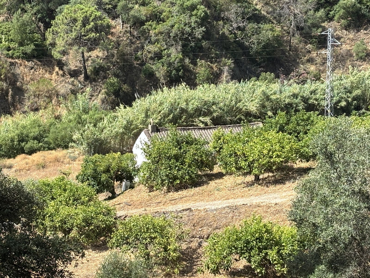 Plot for Sale in El Padron — view 6
