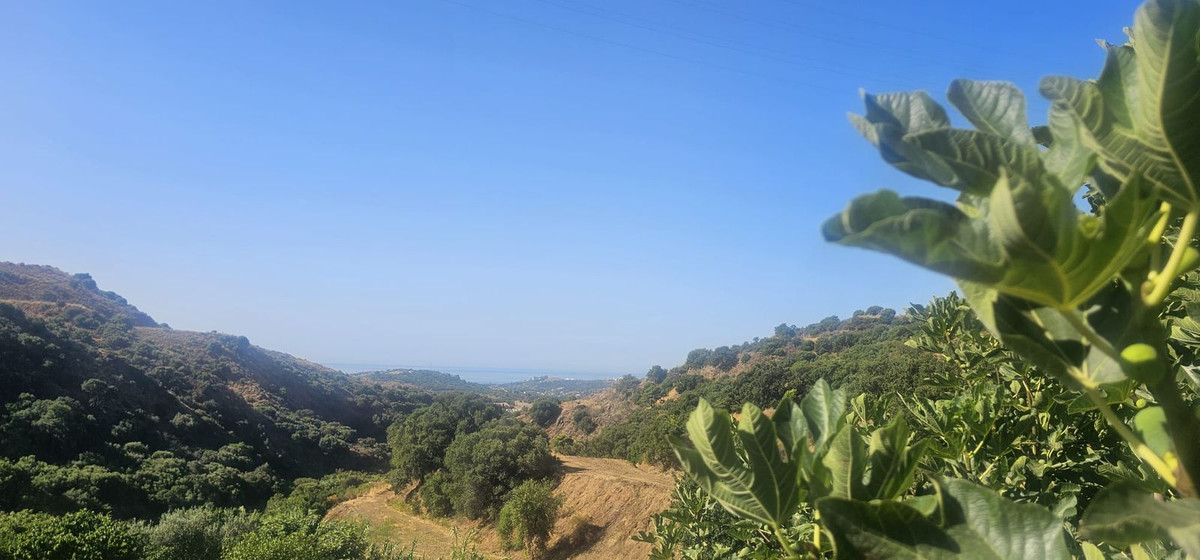 3 Bedroom Villa for Sale in Estepona