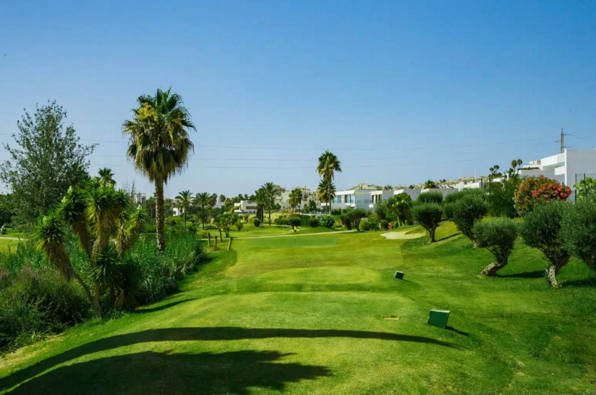 Plot for Sale in El Paraiso — view 10