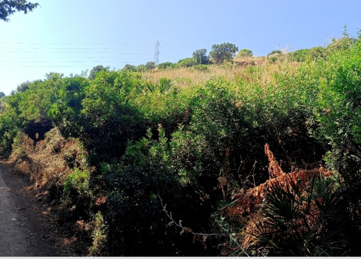 Plot for Sale in Estepona
