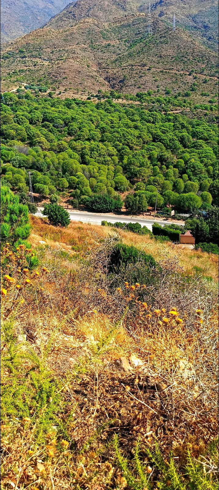 Plot for Sale in Estepona — 5