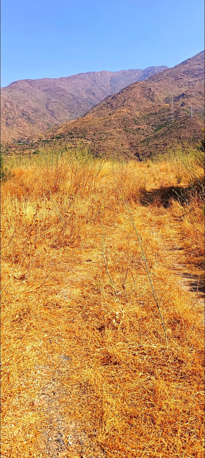 Plot for Sale in Estepona — 6