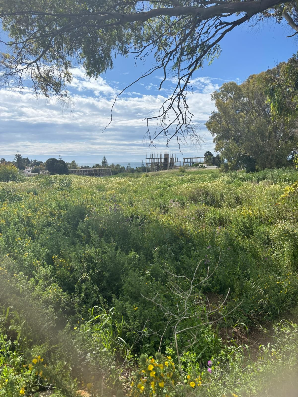 Plot for Sale in Cancelada