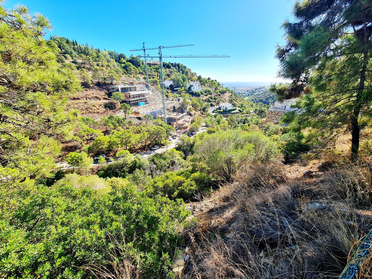 Plot for Sale in El Madroñal