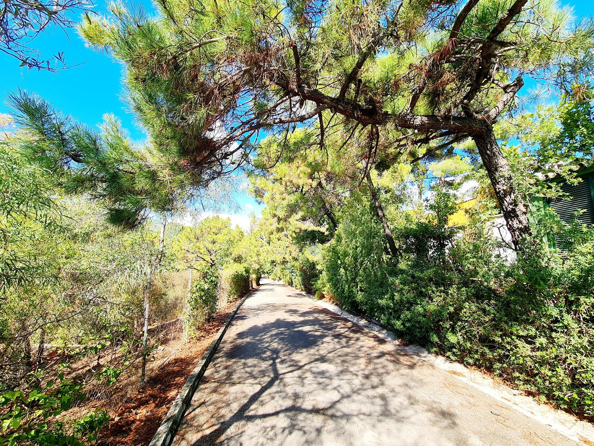 Plot for Sale in El Madroñal — 7