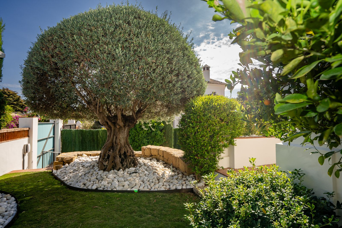 6 Bedroom Villa for Sale in Guadalmina Baja — 7