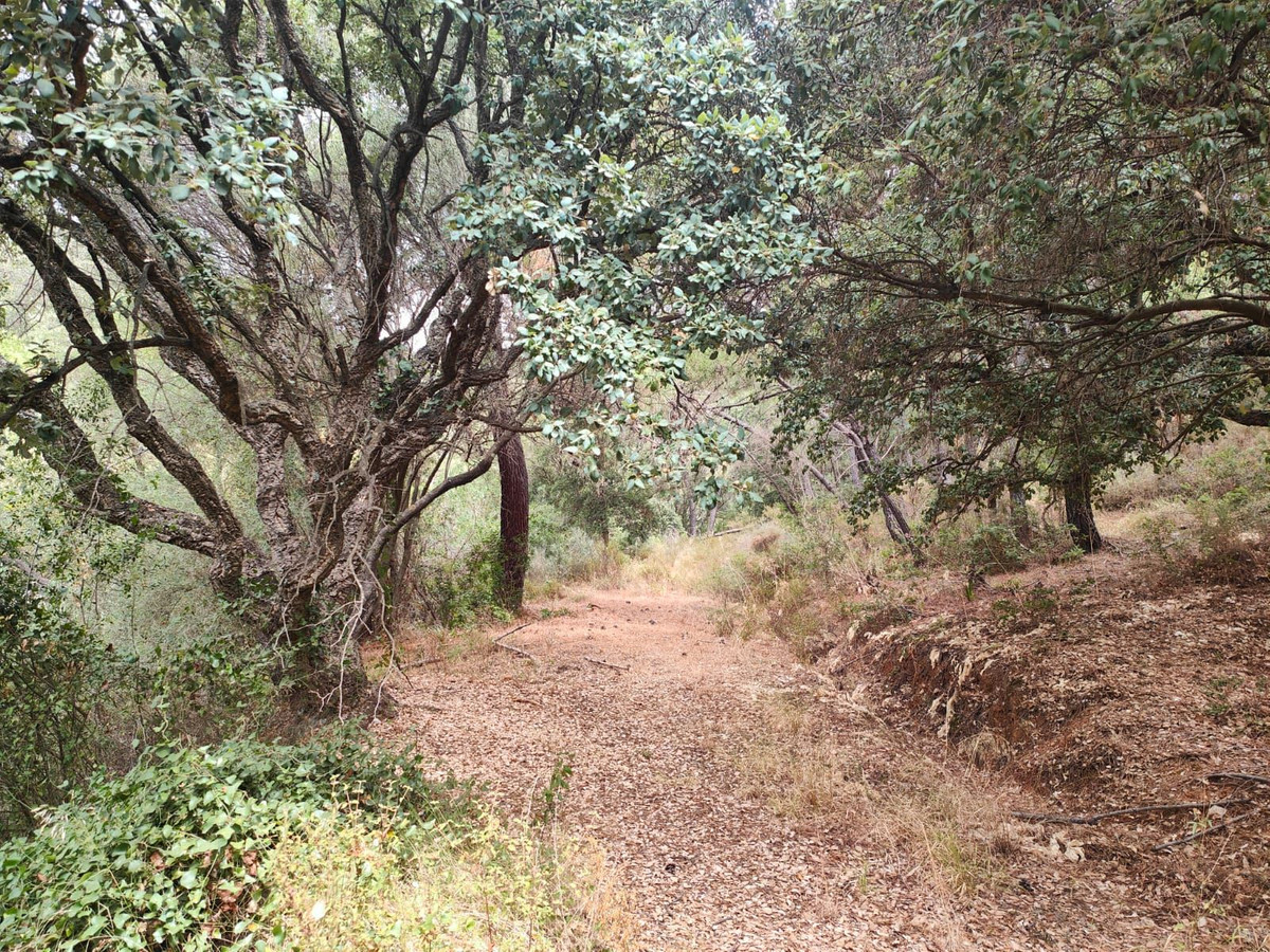 Plot for Sale in Istán