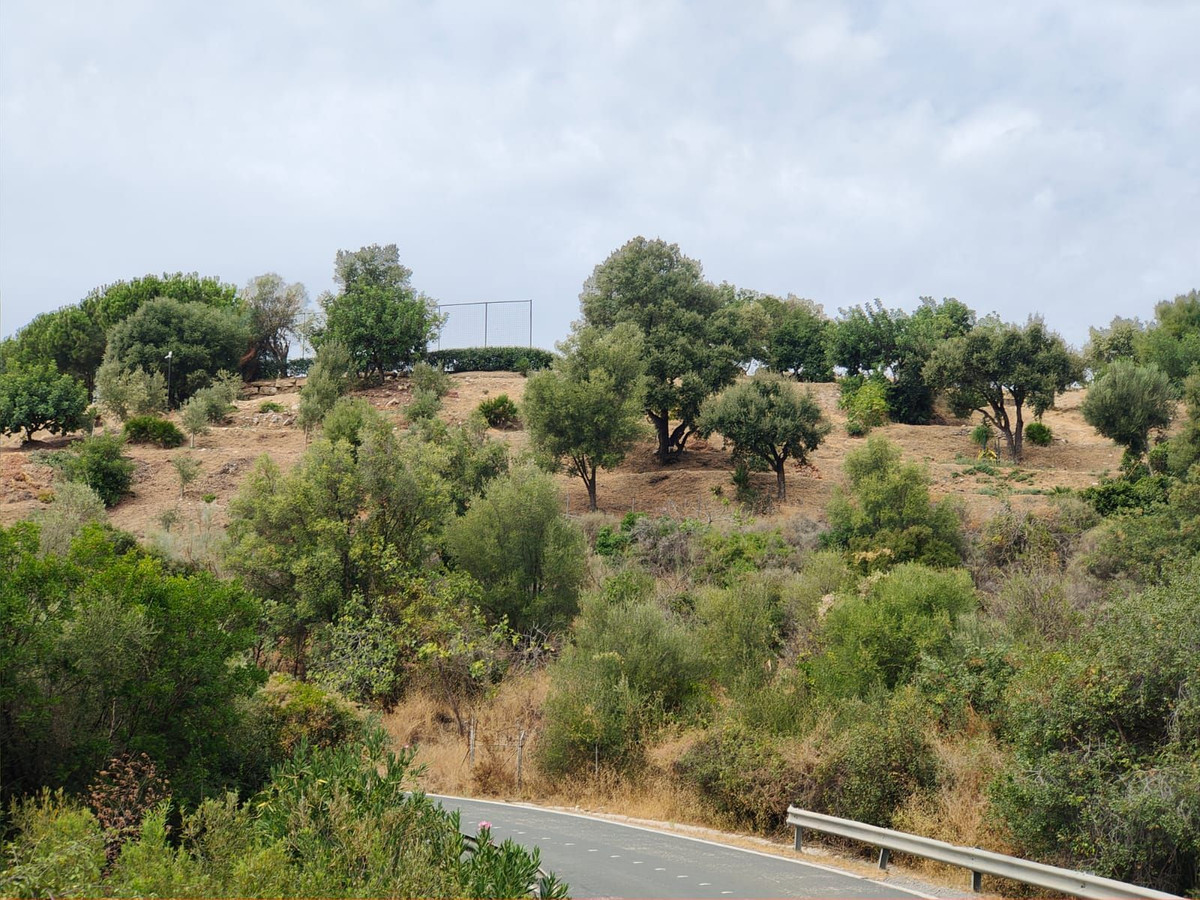 Plot for Sale in Istán — 2