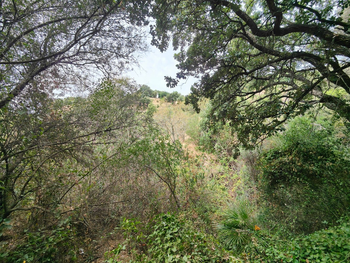 Plot for Sale in Istán — 3