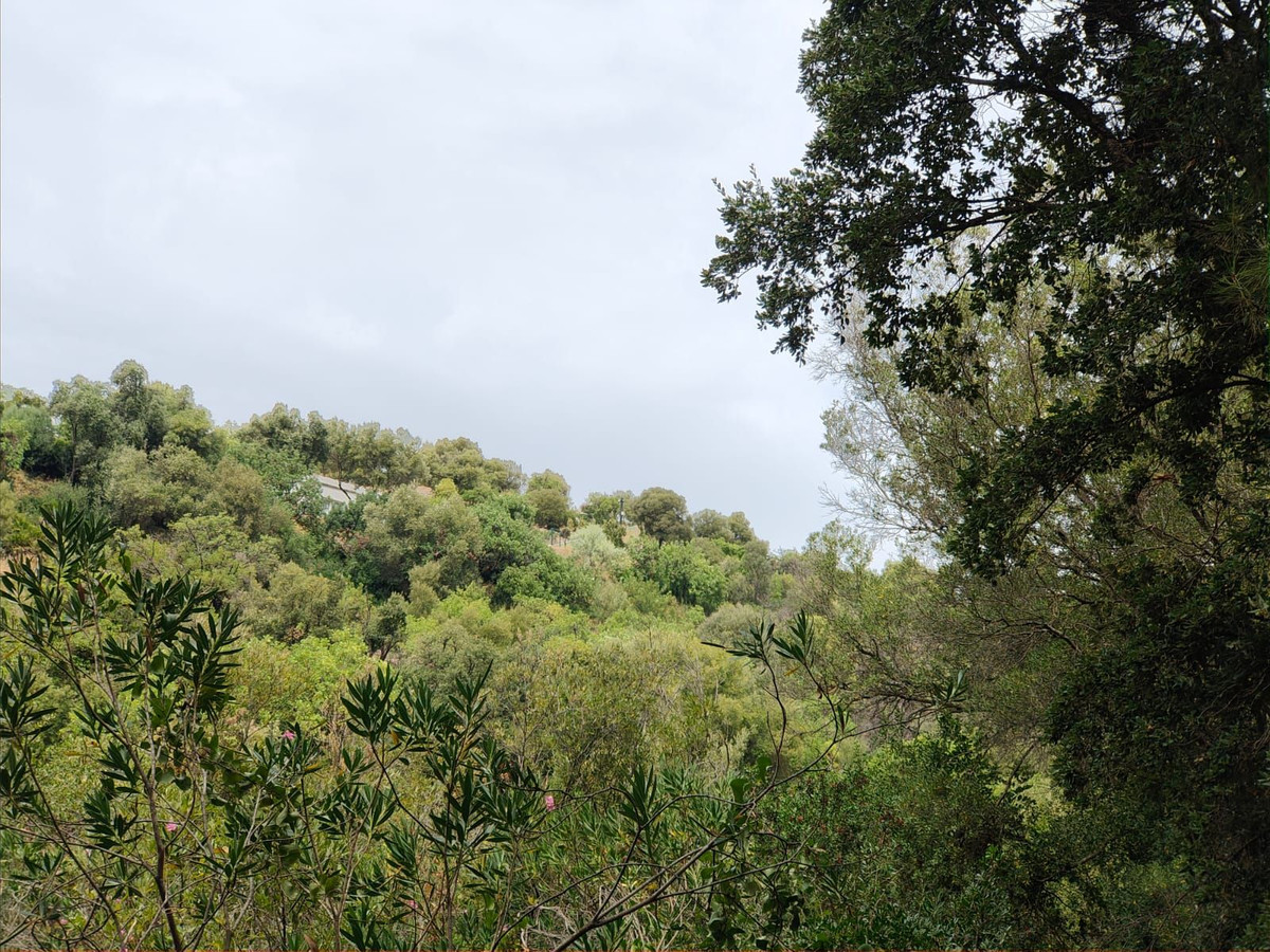 Plot for Sale in Istán — 5