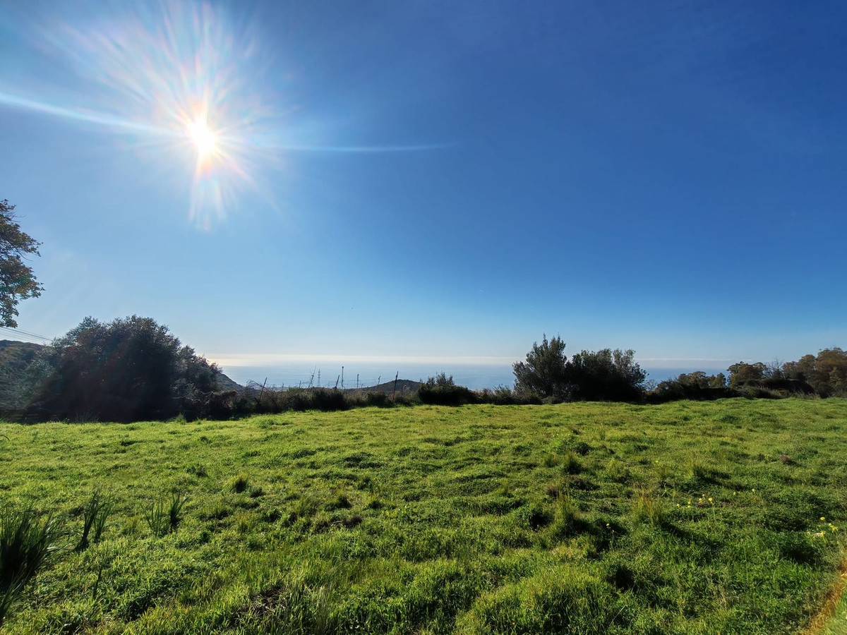 Plot for Sale in Marbella