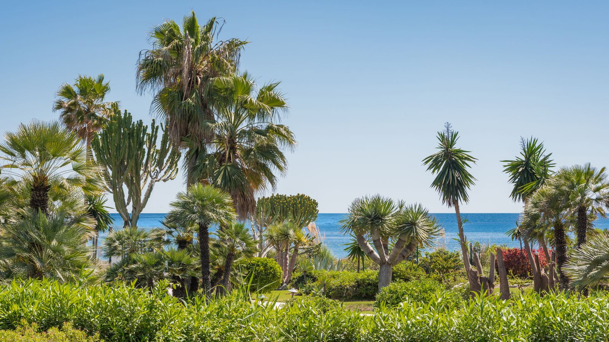 3 Bedroom Apartment for Sale in Costalita — 2