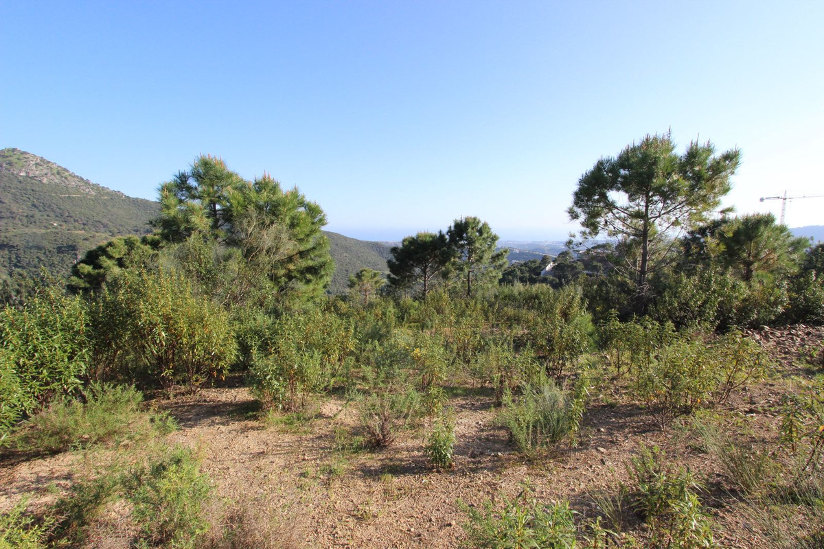 Plot for Sale in Benahavís