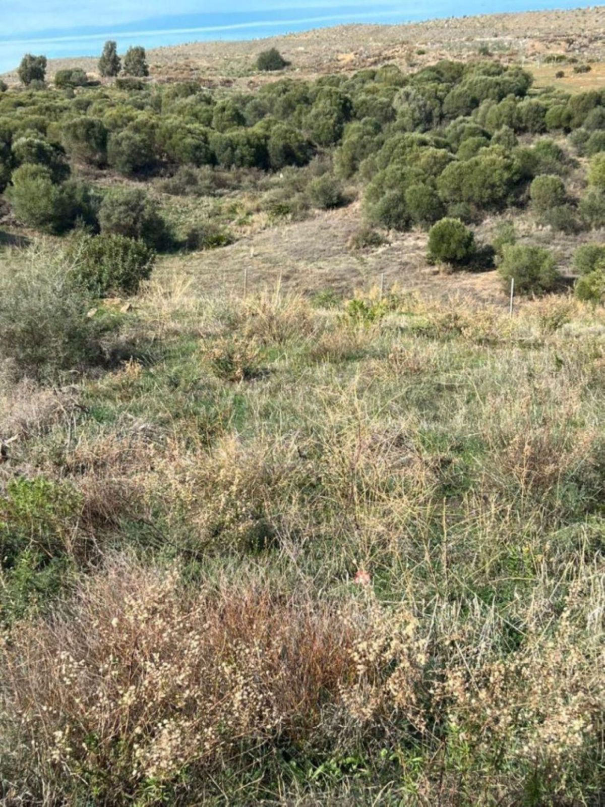 Plot for Sale in Bel Air