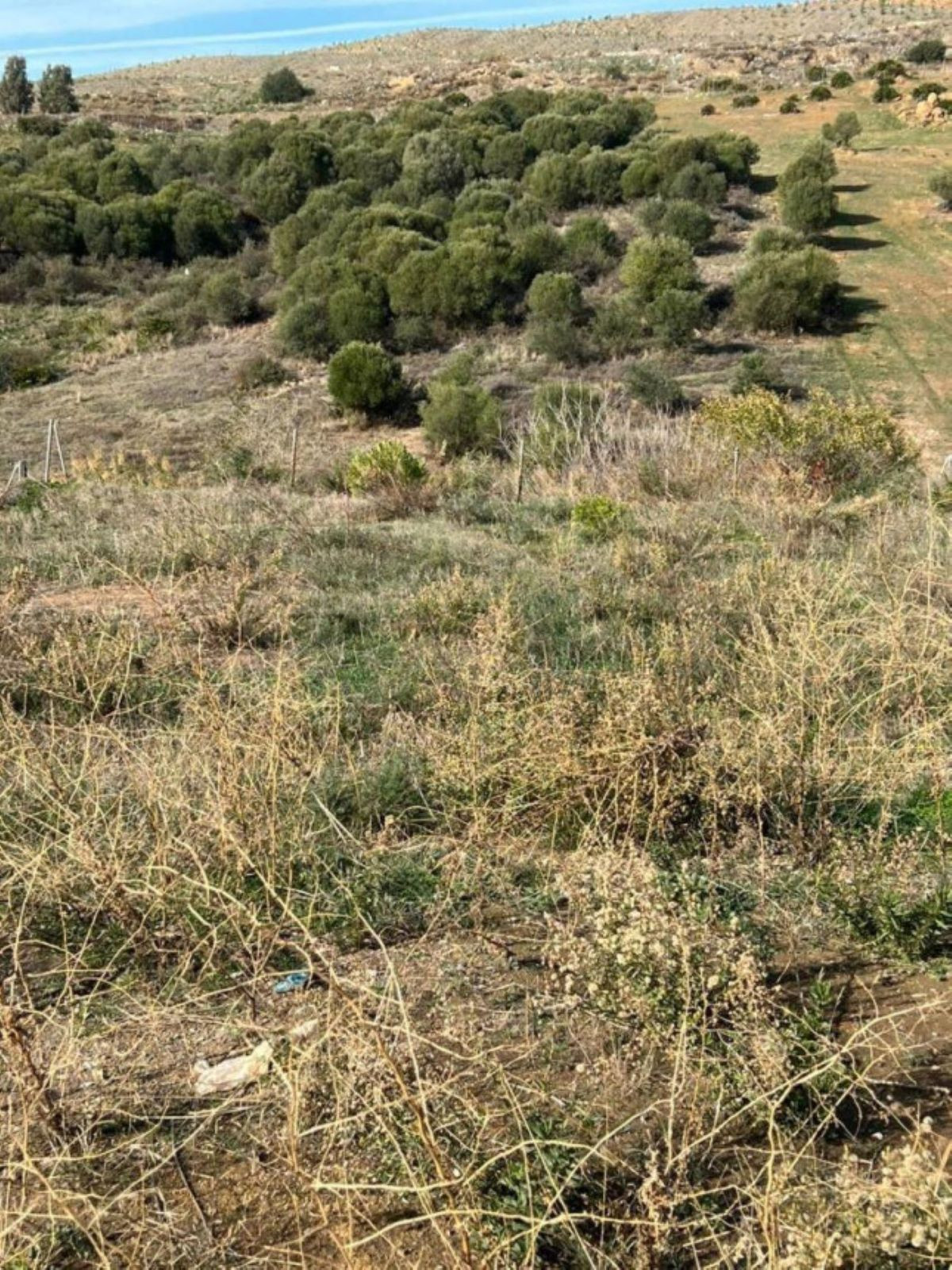 Plot for Sale in Bel Air — 2